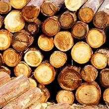 خط إنتاج مصبعات الوقود الحيوي