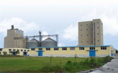 خط إنتاج مصبعات الأخشاب 2 طن/ساعة