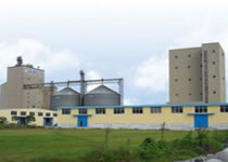 خط إنتاج مصبعات الأخشاب 2 طن/ساعة